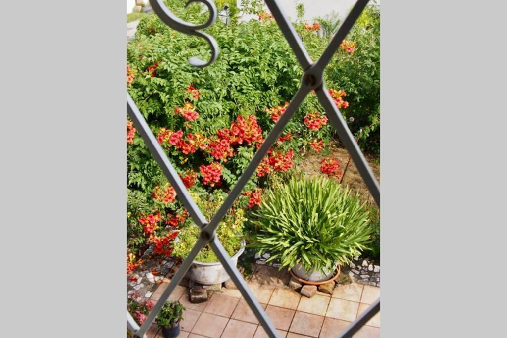 Villa Wachtertor 크렘스안더다노 외부 사진